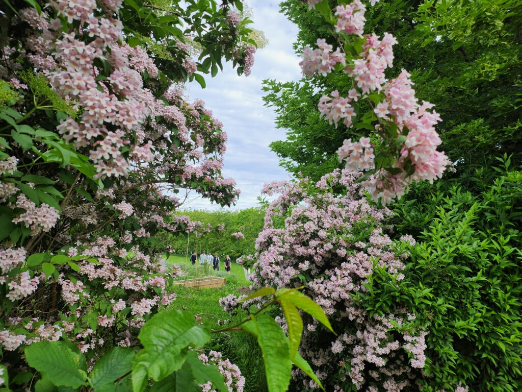 Gimnáziumi élménynapok